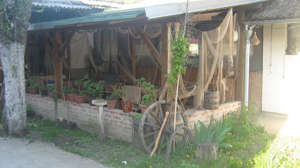 Farm Stay Lackovic Bilje Eksteriør billede