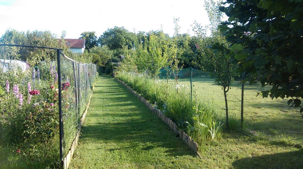 Farm Stay Lackovic Bilje Eksteriør billede
