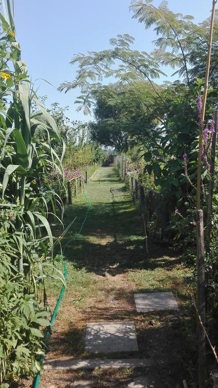 Farm Stay Lackovic Bilje Eksteriør billede